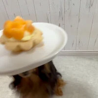 動画サムネイル