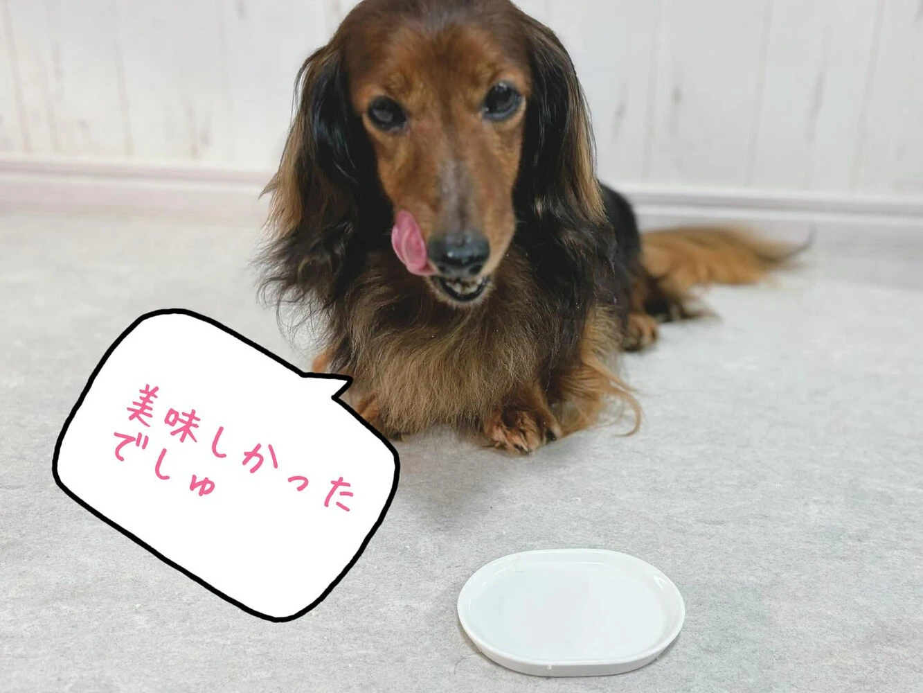 ブログ画像