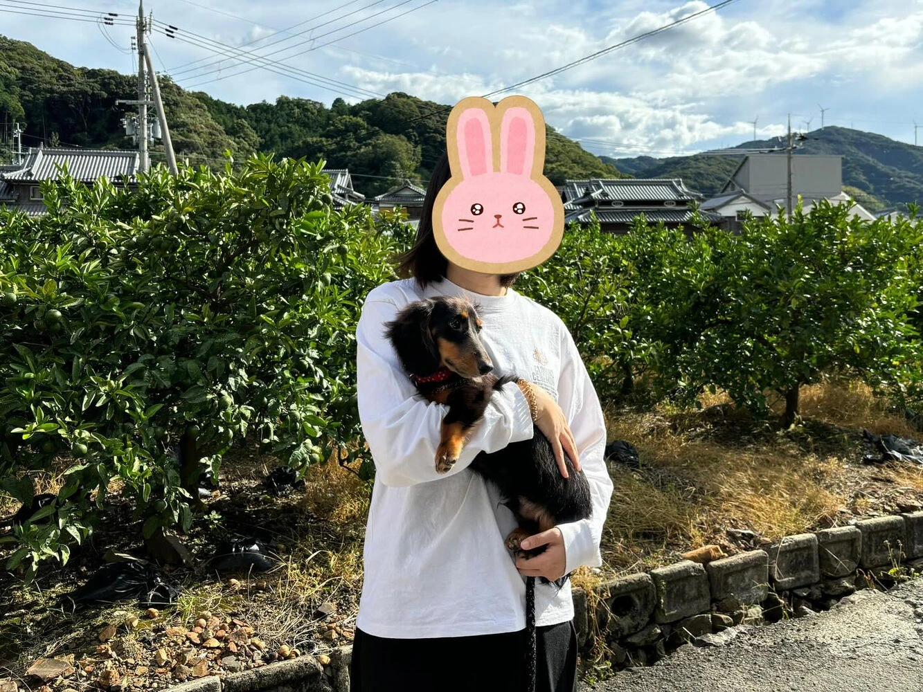 ブログ画像