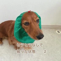 ブログ画像