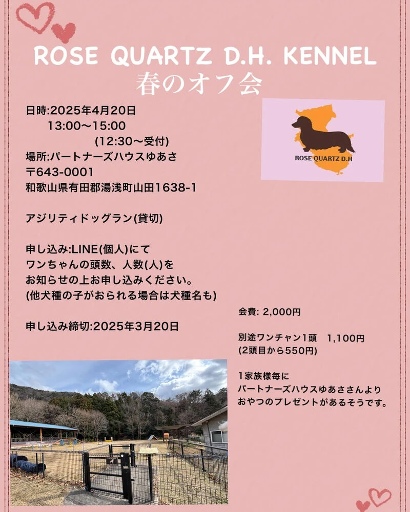 ブログ画像
