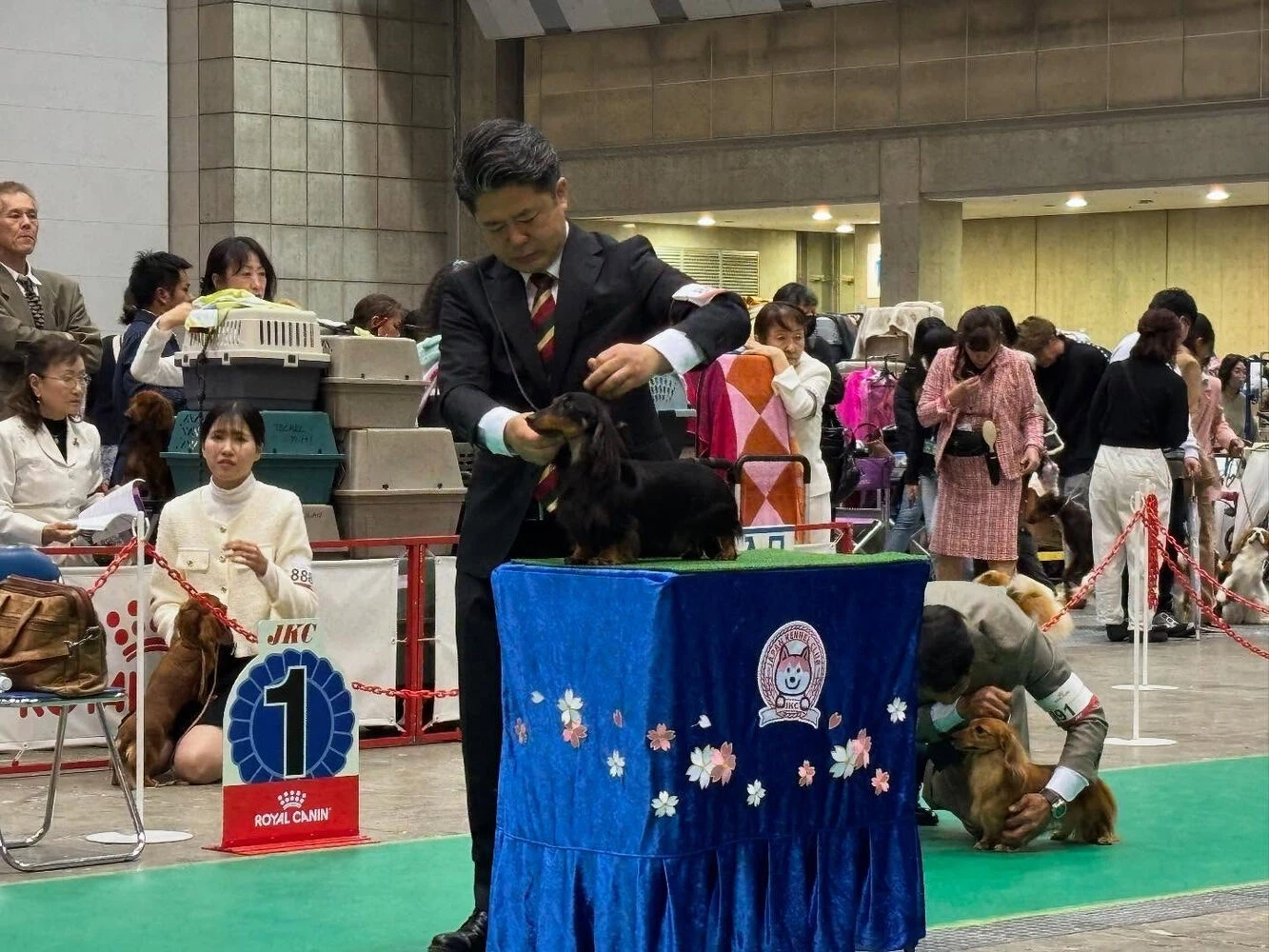 ブログ画像
