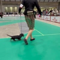 動画サムネイル