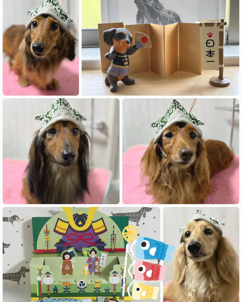 ブログ画像