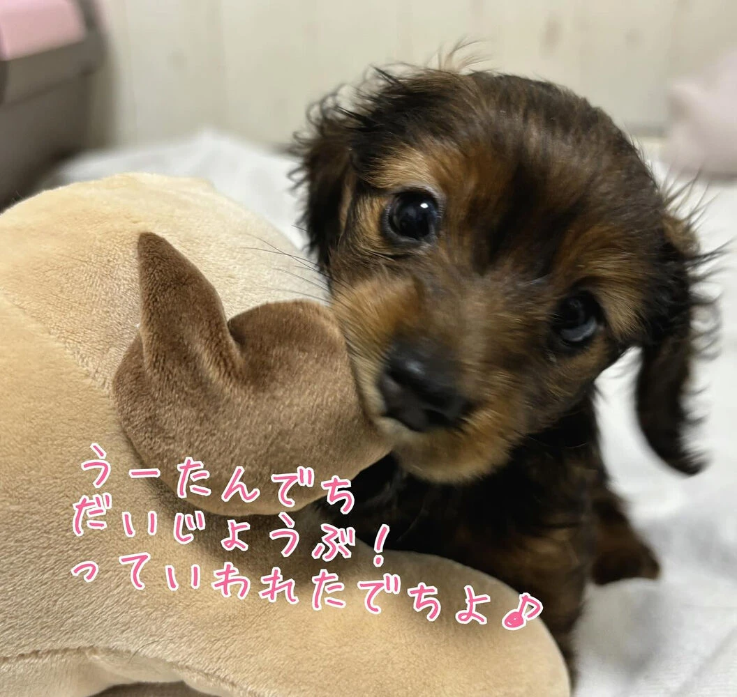 ブログ画像