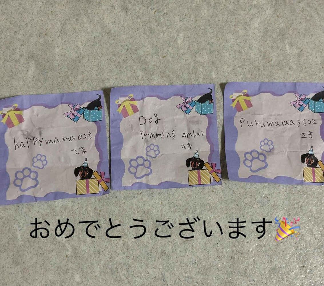 ブログ画像