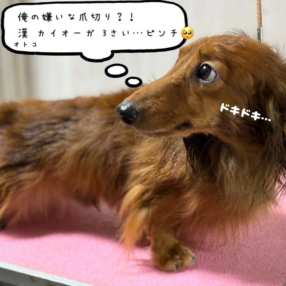 ブログ画像