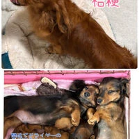 ブログ画像