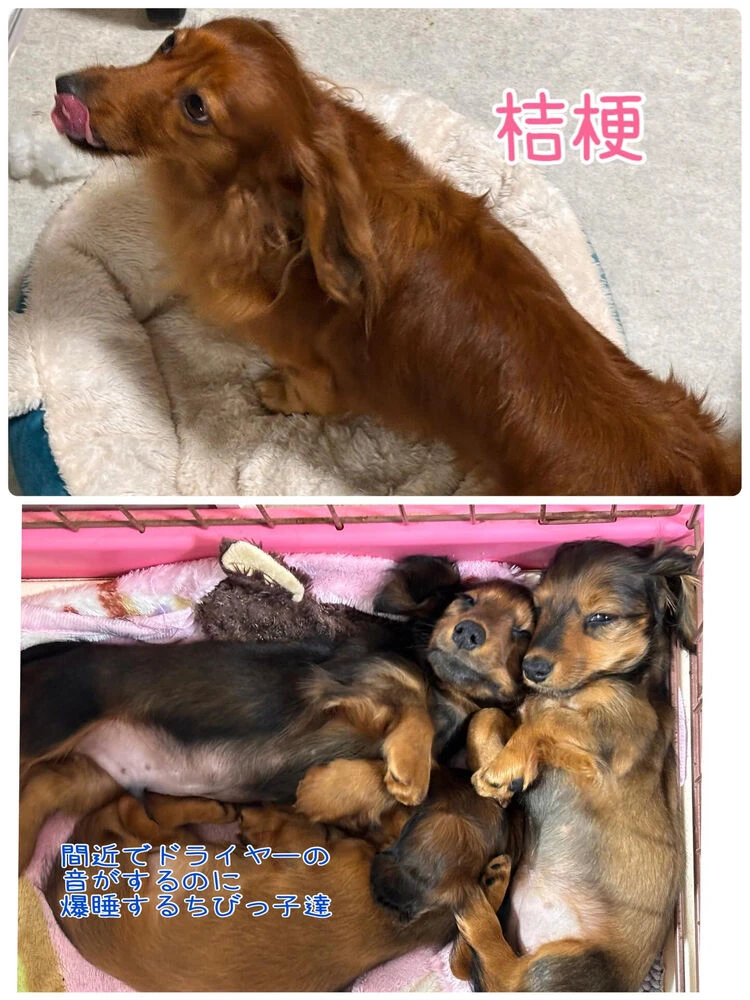 ブログ画像