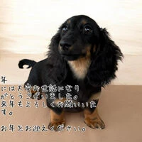 ブログ画像
