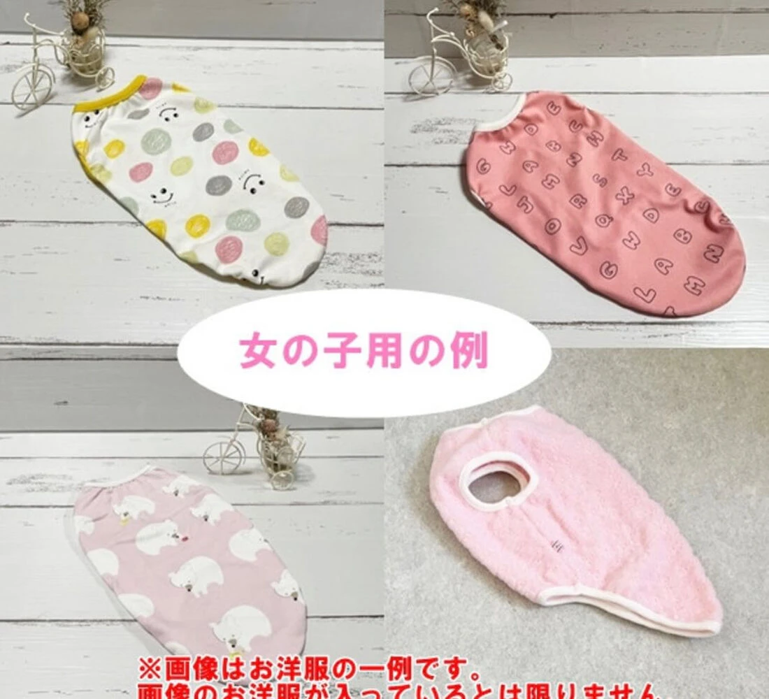 ブログ画像