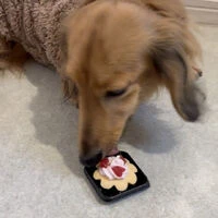 動画サムネイル