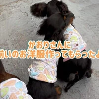 動画サムネイル