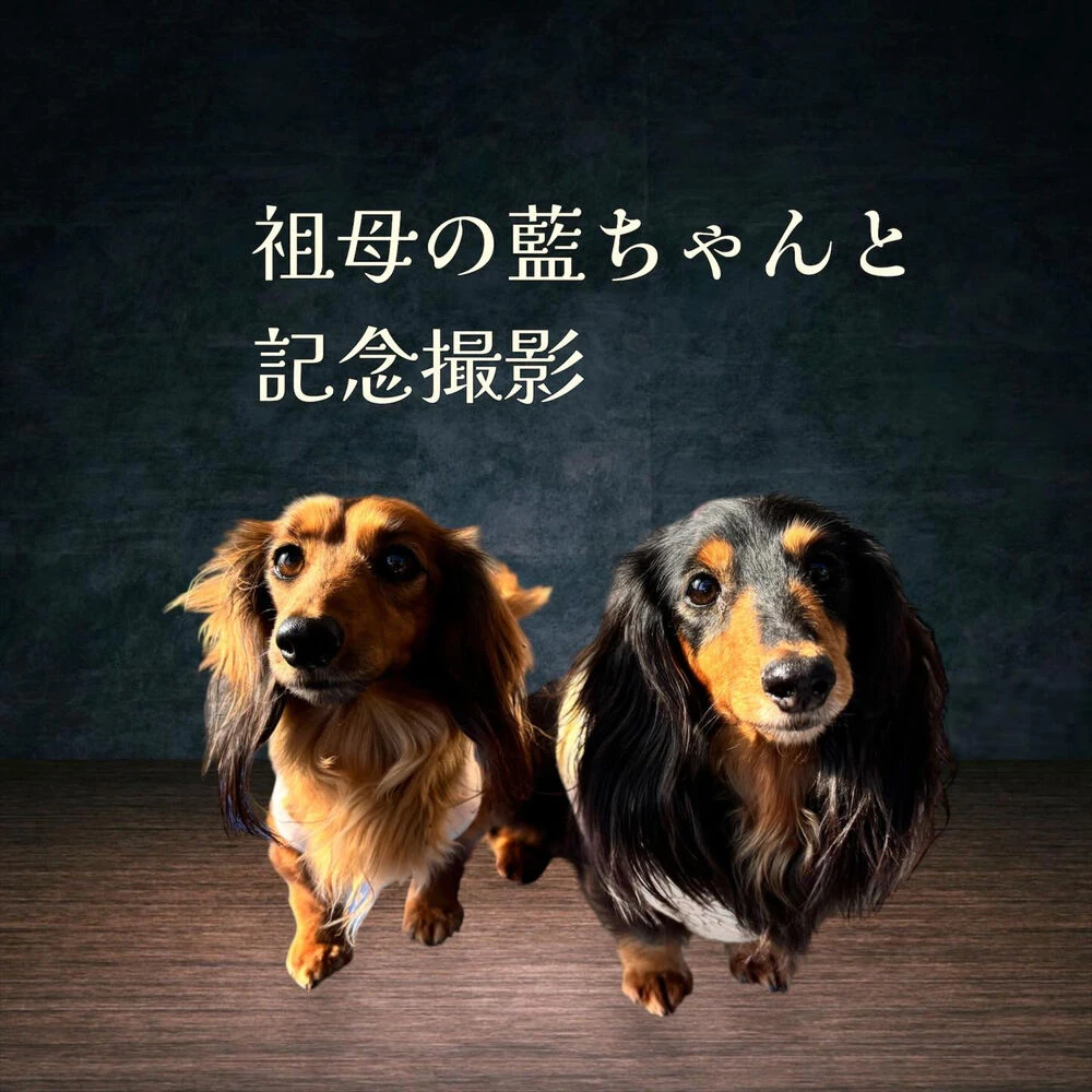 ブログ画像