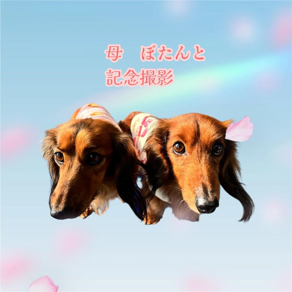 ブログ画像