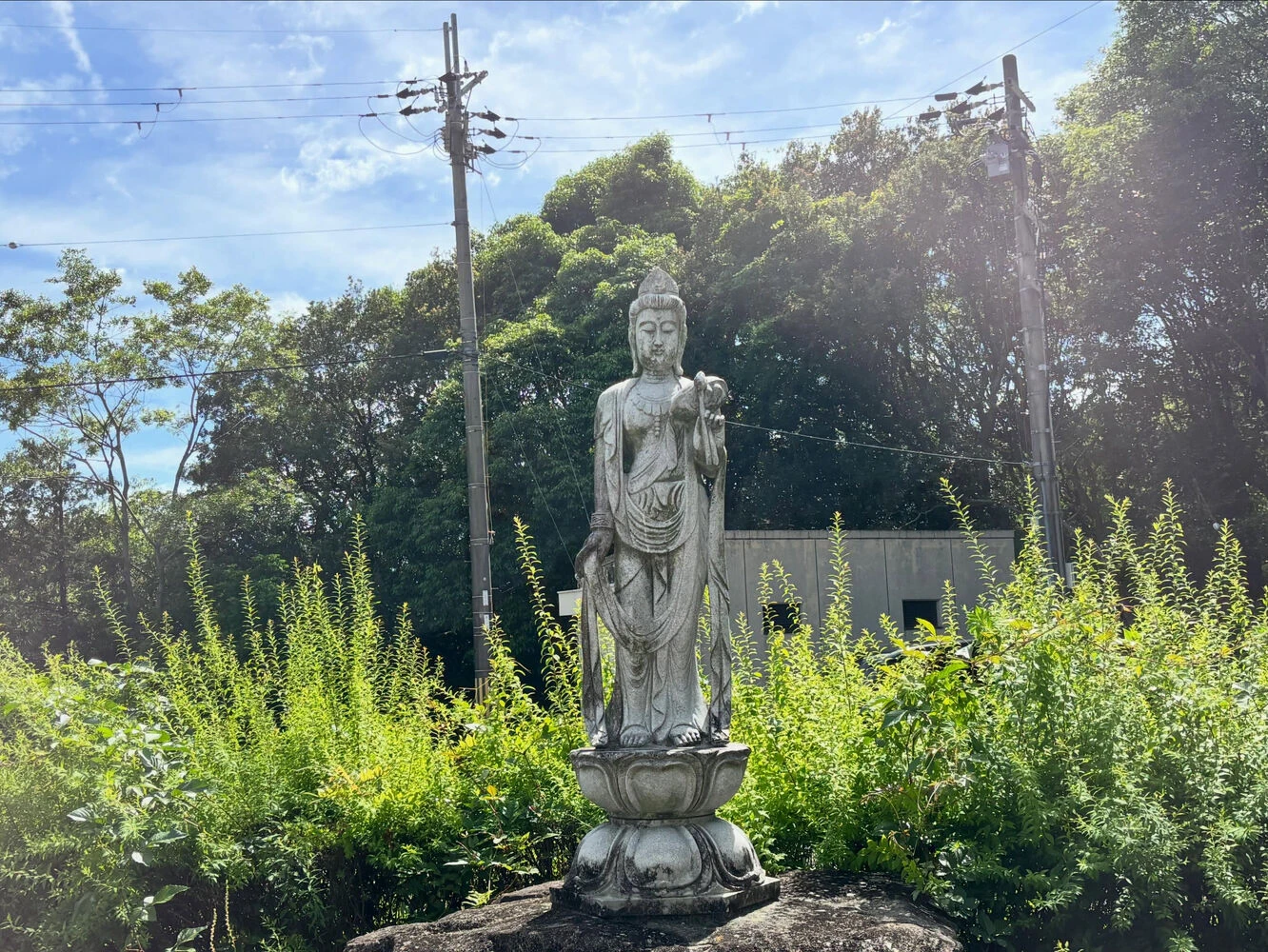 ブログ画像
