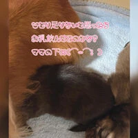 ブログ画像