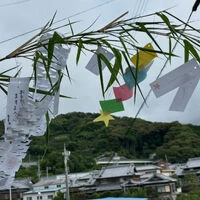 ブログ画像