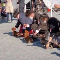 動画サムネイル