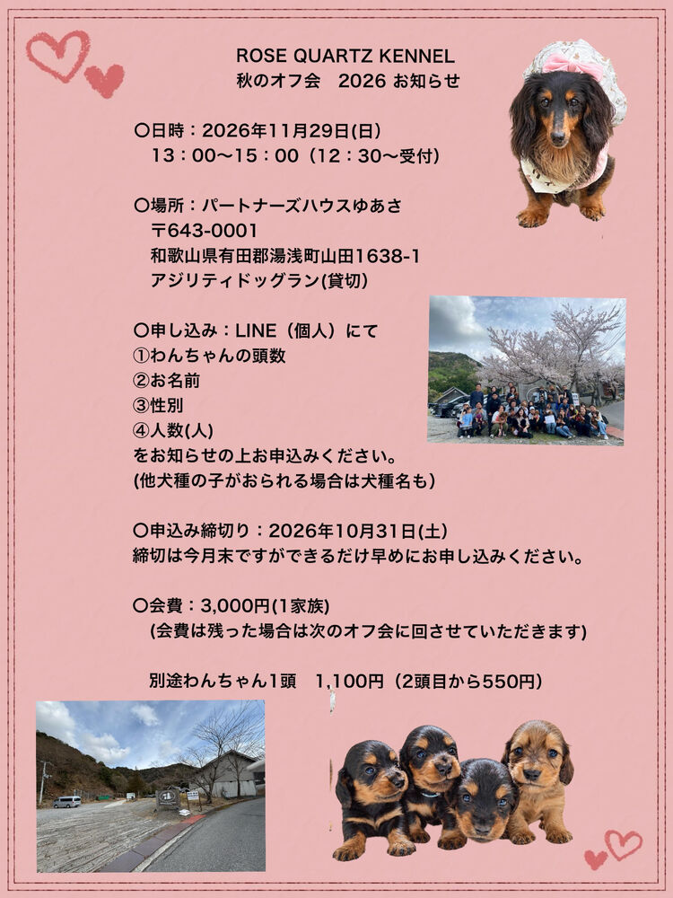 ブログ画像